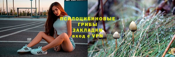 прущая мука Лиски