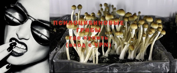кокс Липки