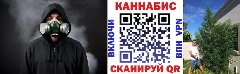 сколько стоит  Щучье  omg как войти  МАРИХУАНА MAZAR 